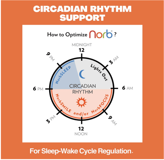 NorbSMILE Full Spectrum LED Bulb – 10W PAR30 Long Neck, Natural Sunlight Indoors, CA Title 20 Compliant