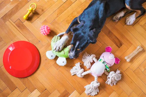 Animals and Pet Supplies - Unrestricted Goods