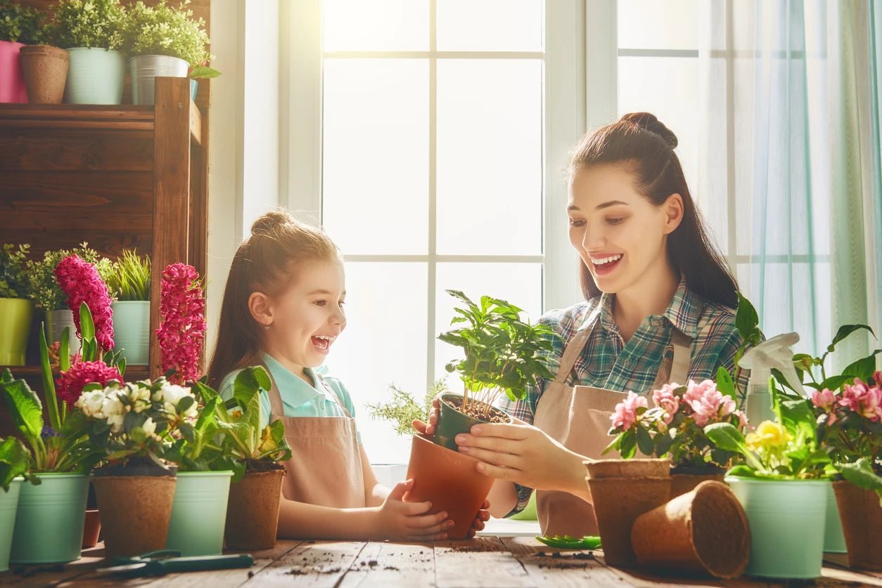 Home & Garden - Unrestricted Goods